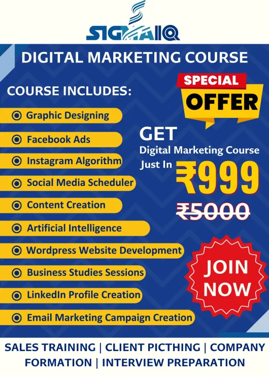 Digital marketing course under ₹1000